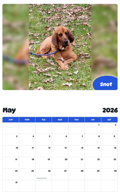 2026 - 2027 Snot - Pawidols Pet Calendar