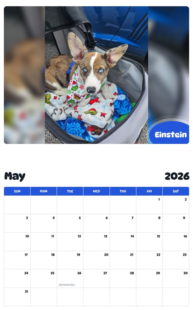 2026 - 2027 Einstein - Pawidols Pet Calendar