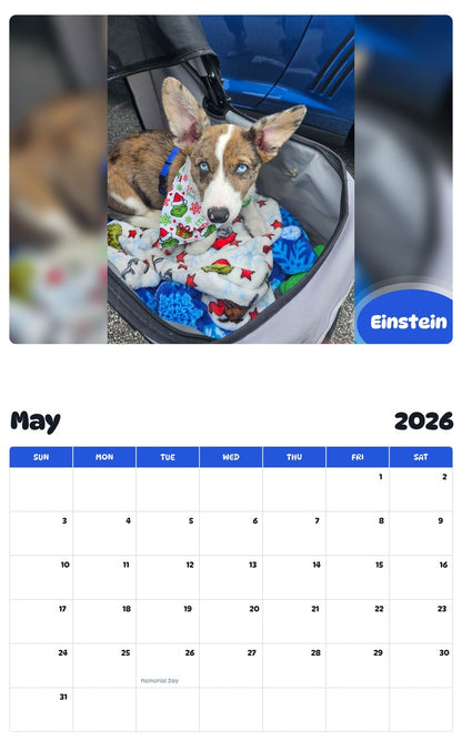 2026 - 2027 Einstein - Pawidols Pet Calendar