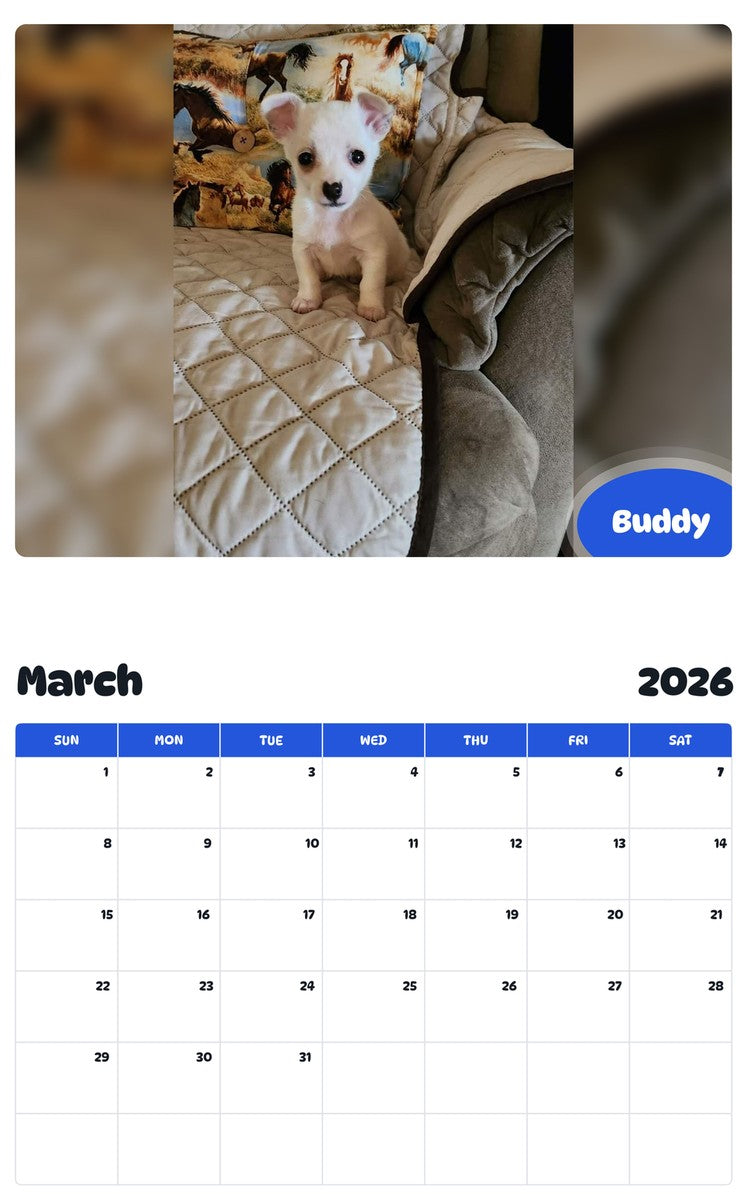November 2025 - October 2026 Buddy - Pawidols Pet Calendar