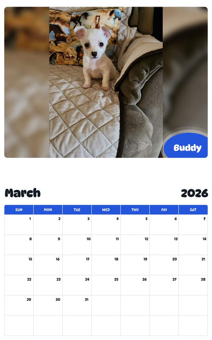 November 2025 - October 2026 Buddy - Pawidols Pet Calendar