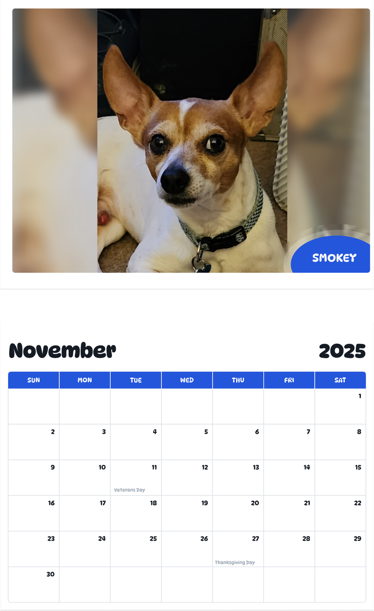 July 2025 - June 2026 Smokey - Pawidols Pet Calendar