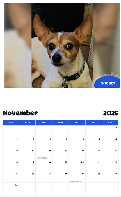 July 2025 - June 2026 Smokey - Pawidols Pet Calendar