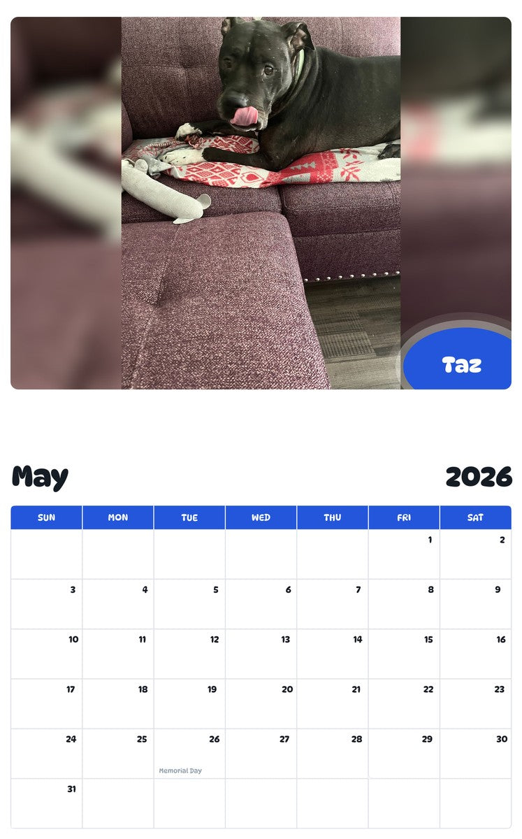 2026 - 2027 Taz - Pawidols Pet Calendar
