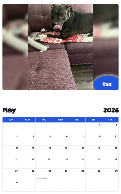 2026 - 2027 Taz - Pawidols Pet Calendar