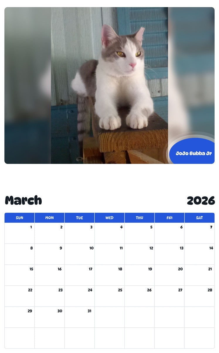 November 2025 - October 2026 JoJo Bubba Jr - Pawidols Pet Calendar