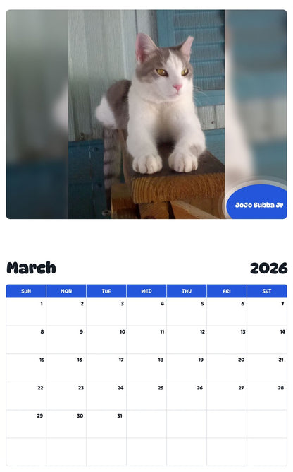 November 2025 - October 2026 JoJo Bubba Jr - Pawidols Pet Calendar
