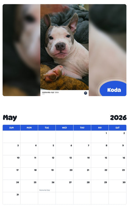 2026 - 2027 Koda - Pawidols Pet Calendar