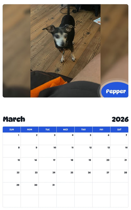 November 2025 - October 2026 Pepper - Pawidols Pet Calendar