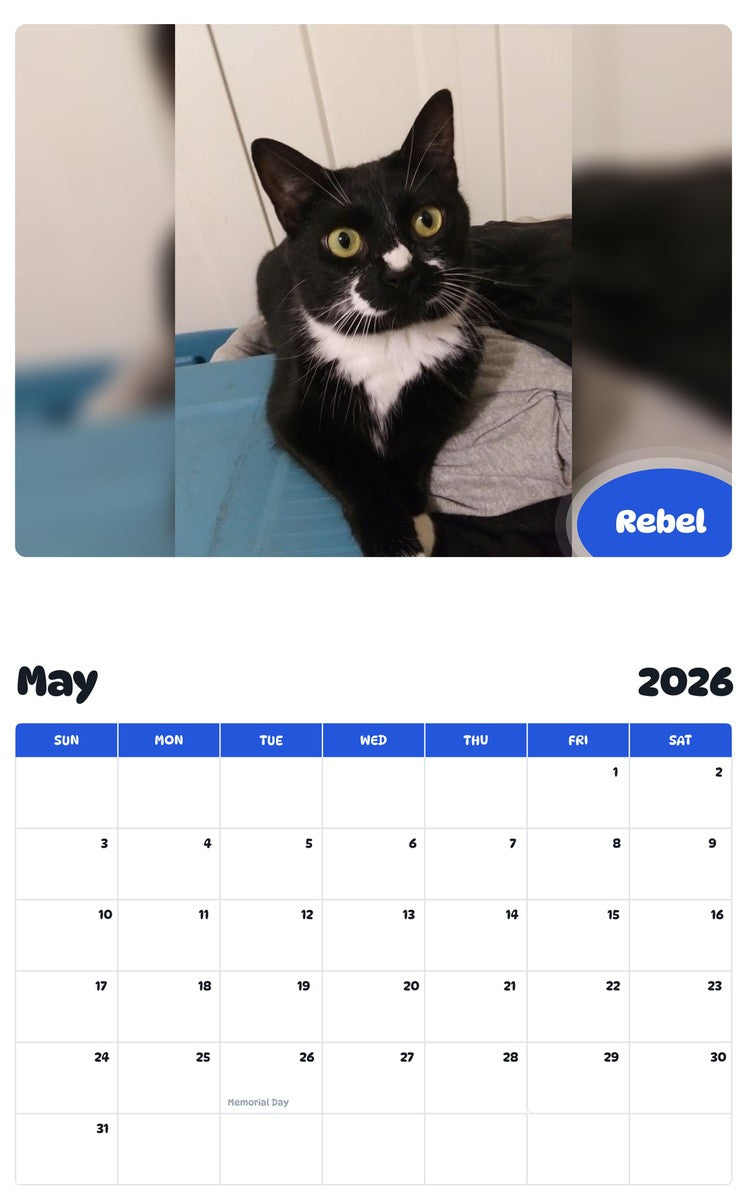 2026 - 2027 Rebel - Pawidols Pet Calendar