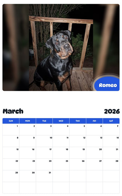 November 2025 - October 2026 Romeo - Pawidols Pet Calendar