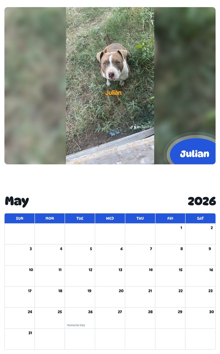 2026 - 2027 Julian - Pawidols Pet Calendar