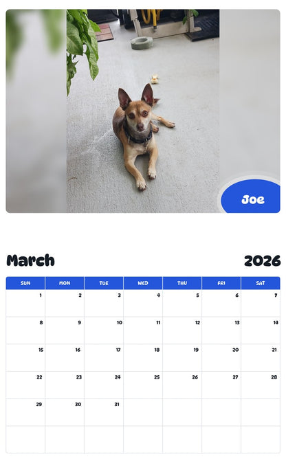 November 2025 - October 2026 Joe - Pawidols Pet Calendar