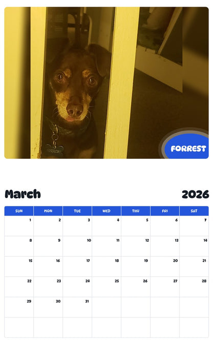 November 2025 - October 2026 FORREST - Pawidols Pet Calendar