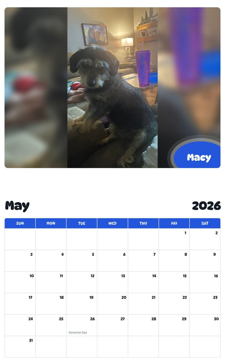 2026 - 2027 Macy - Pawidols Pet Calendar