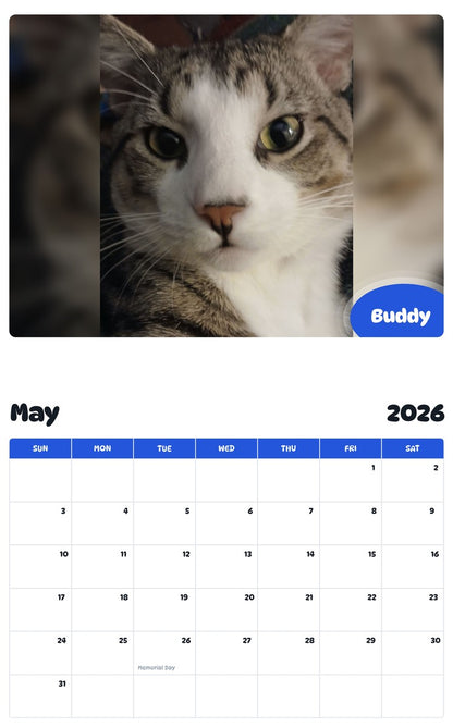2026 - 2027 Buddy - Pawidols Pet Calendar