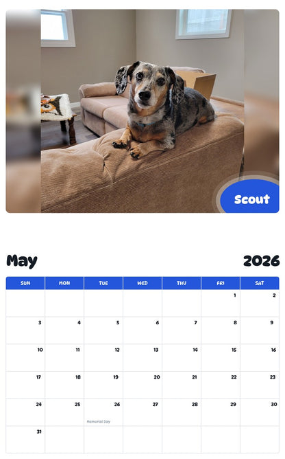 2026 - 2027 Scout - Pawidols Pet Calendar