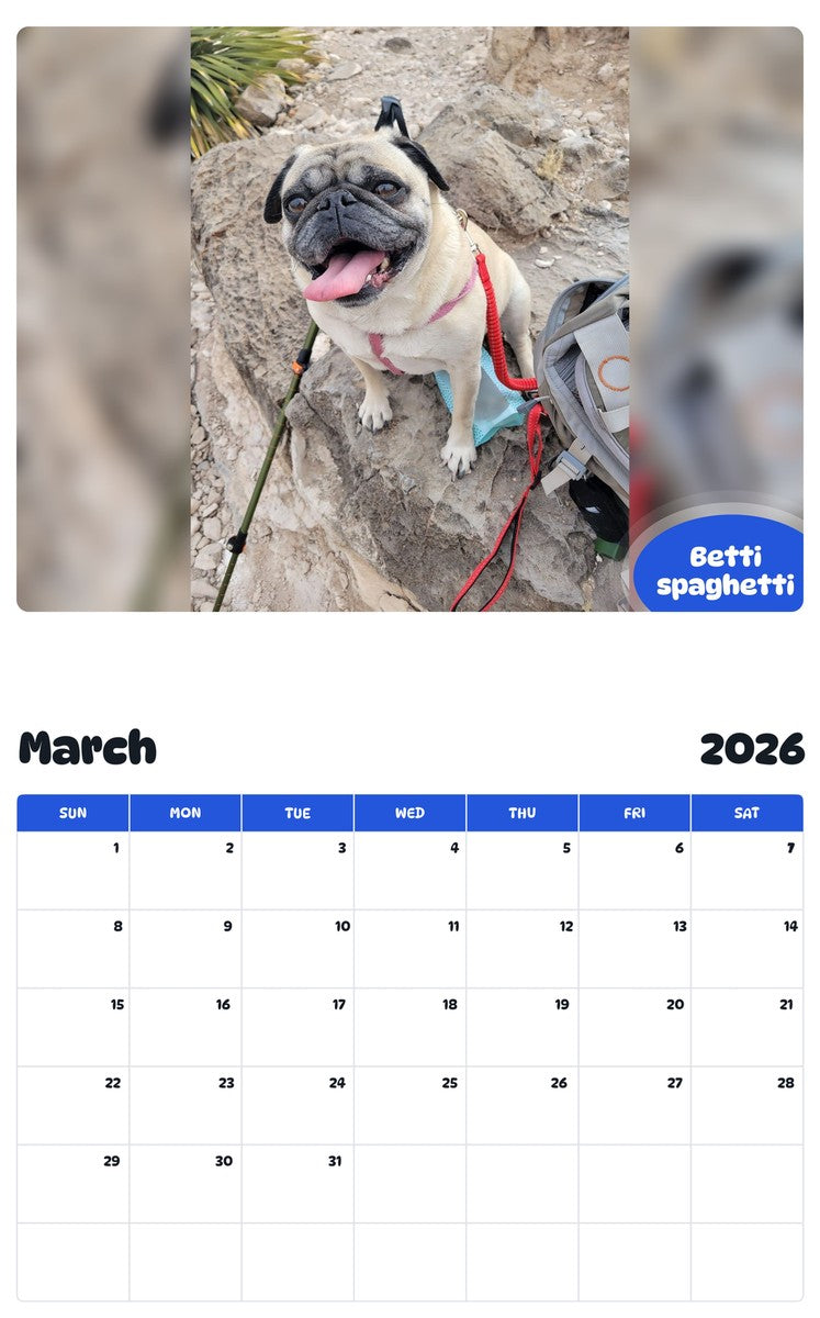 November 2025 - October 2026 Betti spaghetti - Pawidols Pet Calendar