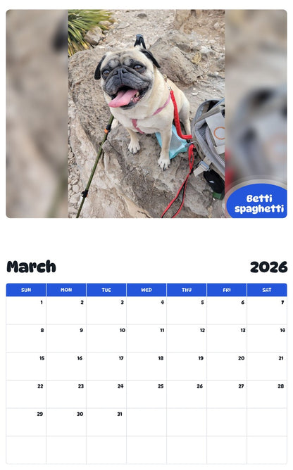 November 2025 - October 2026 Betti spaghetti - Pawidols Pet Calendar