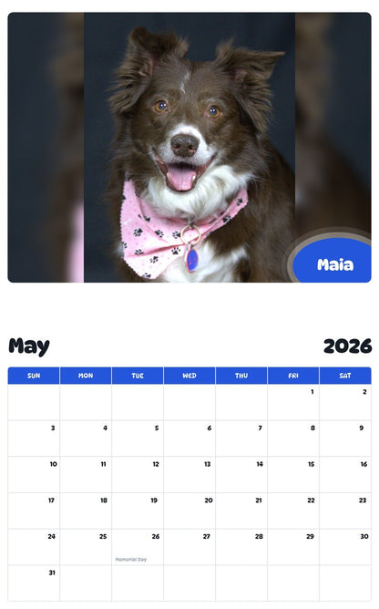 2026 - 2027 Maia - Pawidols Pet Calendar
