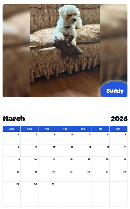 November 2025 - October 2026 Buddy - Pawidols Pet Calendar