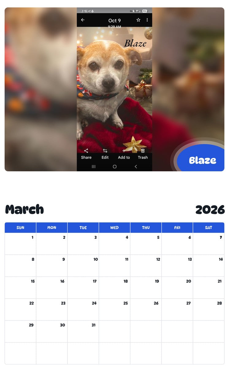 November 2025 - October 2026 Blaze - Pawidols Pet Calendar