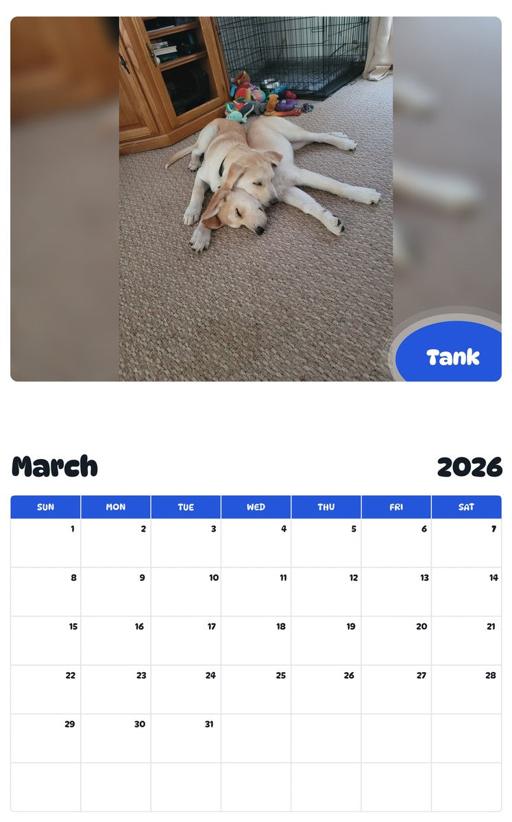November 2025 - October 2026 Tank - Pawidols Pet Calendar