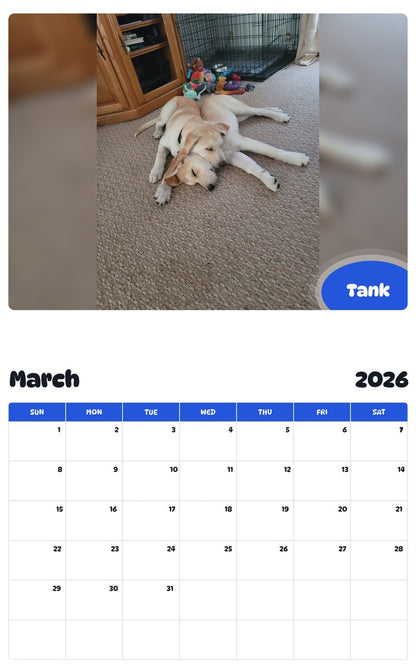 November 2025 - October 2026 Tank - Pawidols Pet Calendar