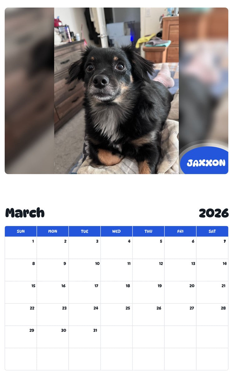 November 2025 - October 2026 JAXXON - Pawidols Pet Calendar