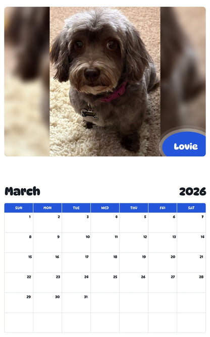 November 2025 - October 2026 Lovie - Pawidols Pet Calendar