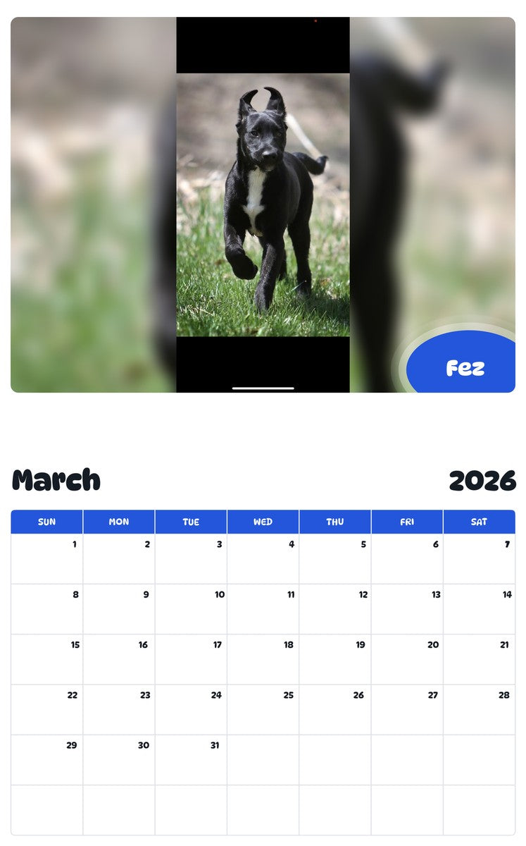 November 2025 - October 2026 Fez - Pawidols Pet Calendar