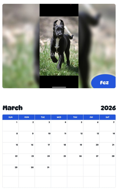 November 2025 - October 2026 Fez - Pawidols Pet Calendar