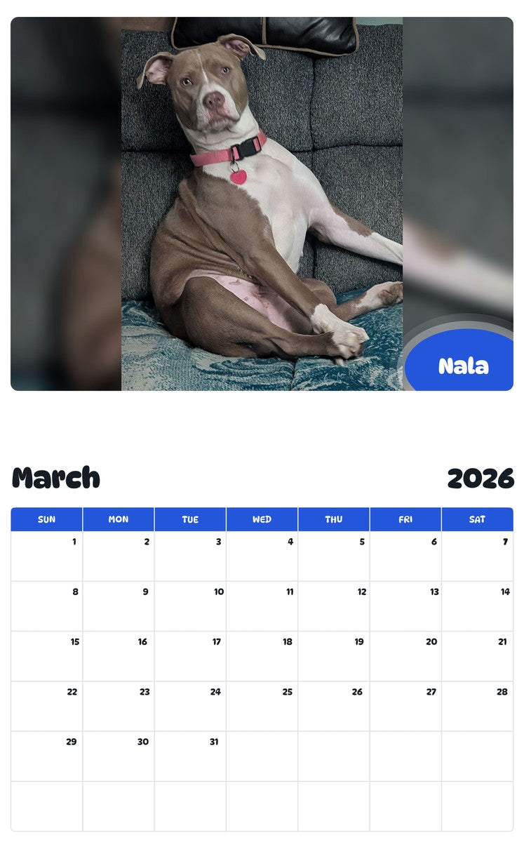 November 2025 - October 2026 Nala - Pawidols Pet Calendar