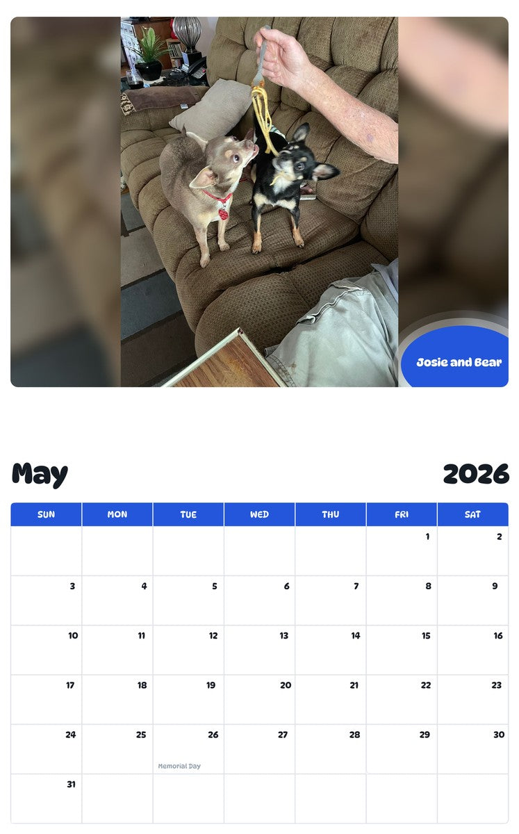 2026 - 2027 Josie and Bear - Pawidols Pet Calendar