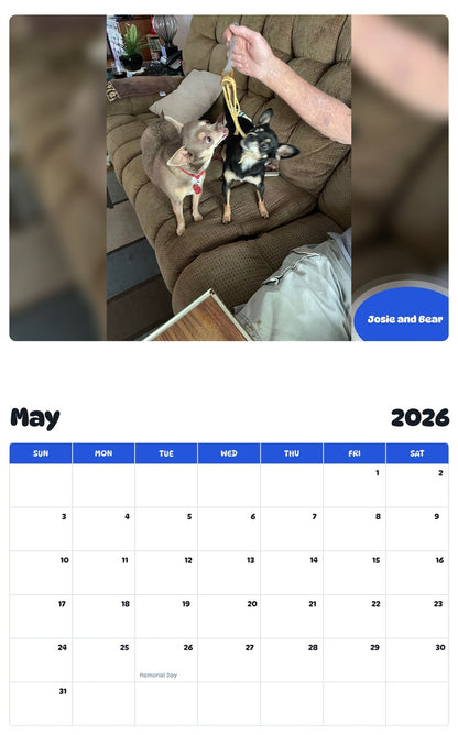 2026 - 2027 Josie and Bear - Pawidols Pet Calendar