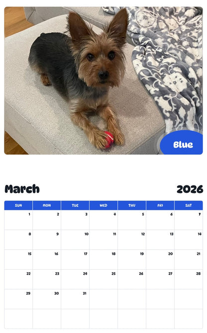 November 2025 - October 2026 Blue - Pawidols Pet Calendar