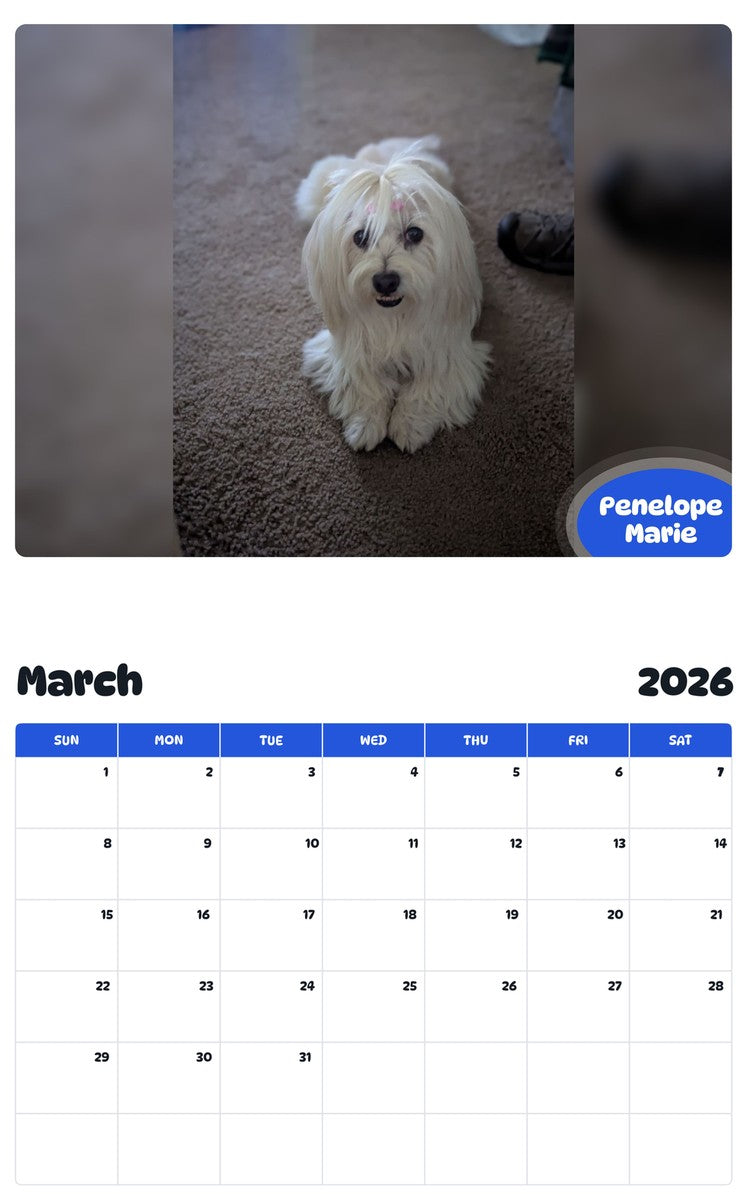November 2025 - October 2026 Penelope Marie - Pawidols Pet Calendar