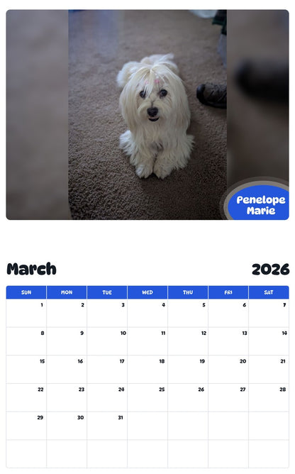 November 2025 - October 2026 Penelope Marie - Pawidols Pet Calendar