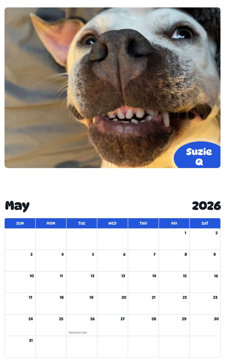 2026 - 2027 Suzie Q - Pawidols Pet Calendar
