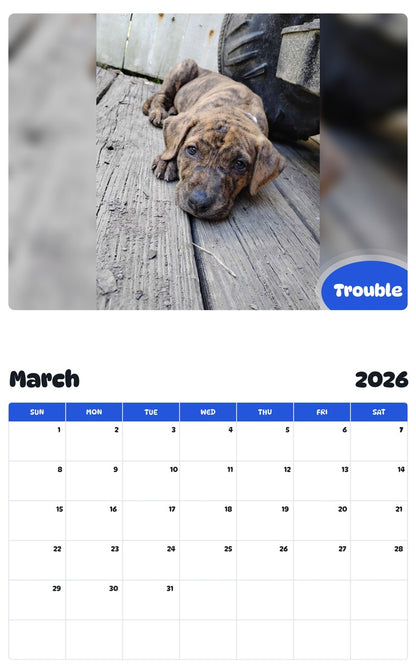 November 2025 - October 2026 Trouble - Pawidols Pet Calendar