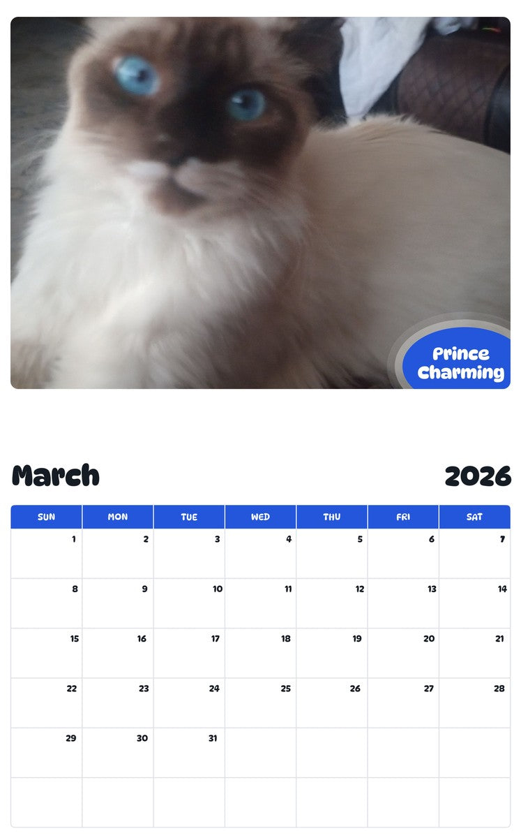 November 2025 - October 2026 Prince Charming - Pawidols Pet Calendar