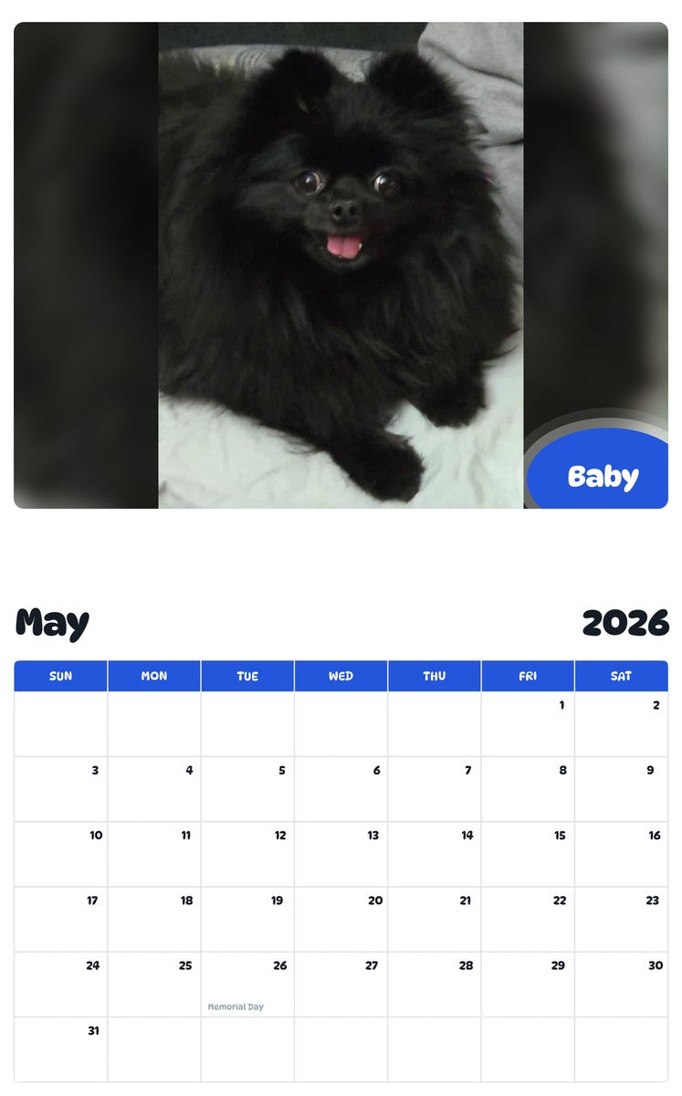 2026 - 2027 Baby - Pawidols Pet Calendar