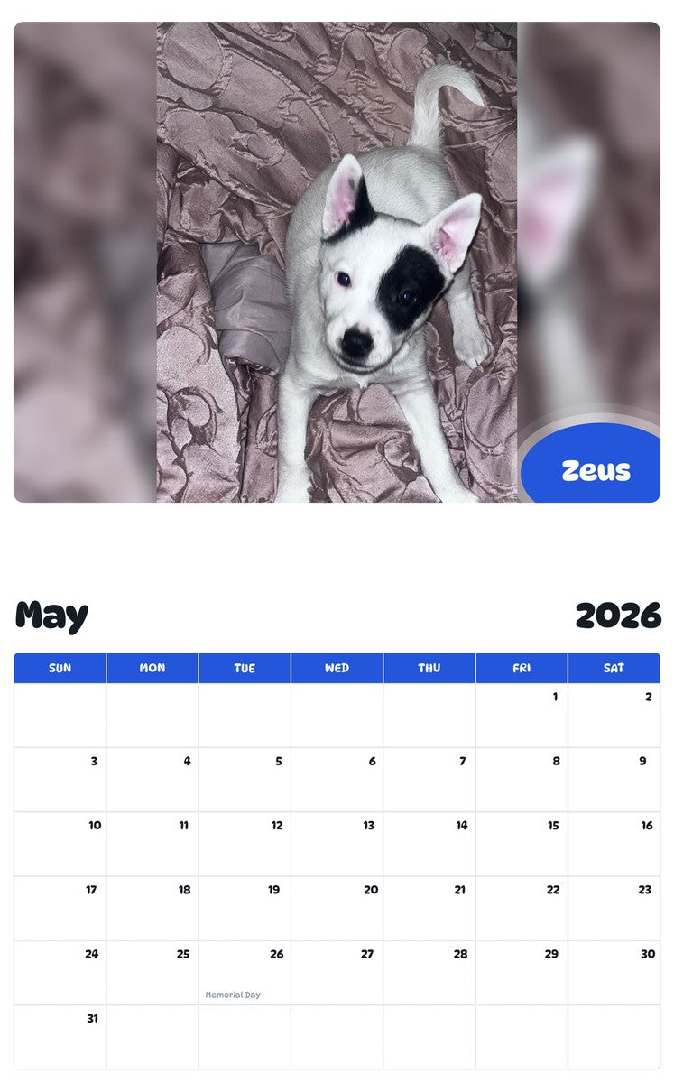2026 - 2027 Zeus - Pawidols Pet Calendar