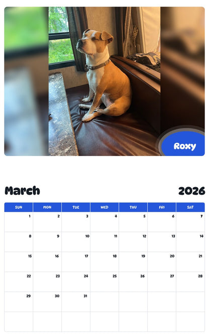 November 2025 - October 2026 Roxy - Pawidols Pet Calendar