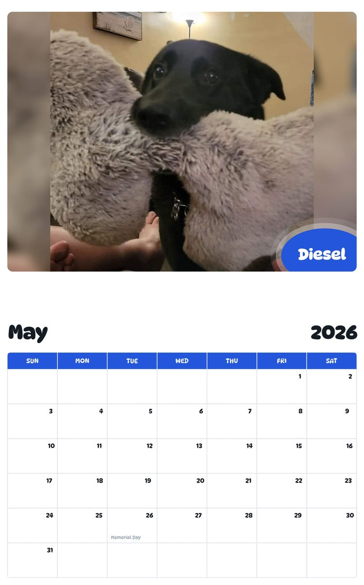 2026 - 2027 Diesel - Pawidols Pet Calendar