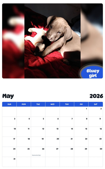 2026 - 2027 Bluey girl - Pawidols Pet Calendar