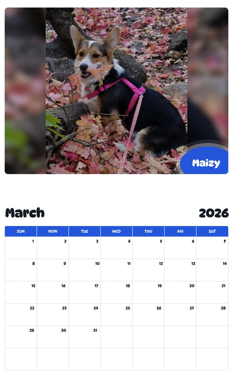 November 2025 - October 2026 Maizy - Pawidols Pet Calendar