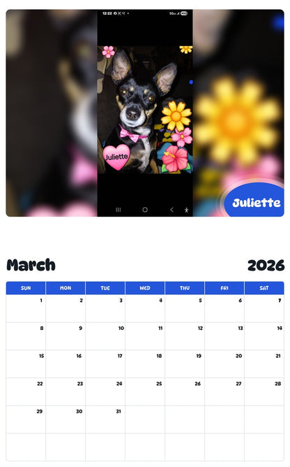 November 2025 - October 2026 Juliette - Pawidols Pet Calendar