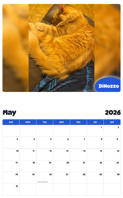 2026 - 2027 DiNozzo - Pawidols Pet Calendar