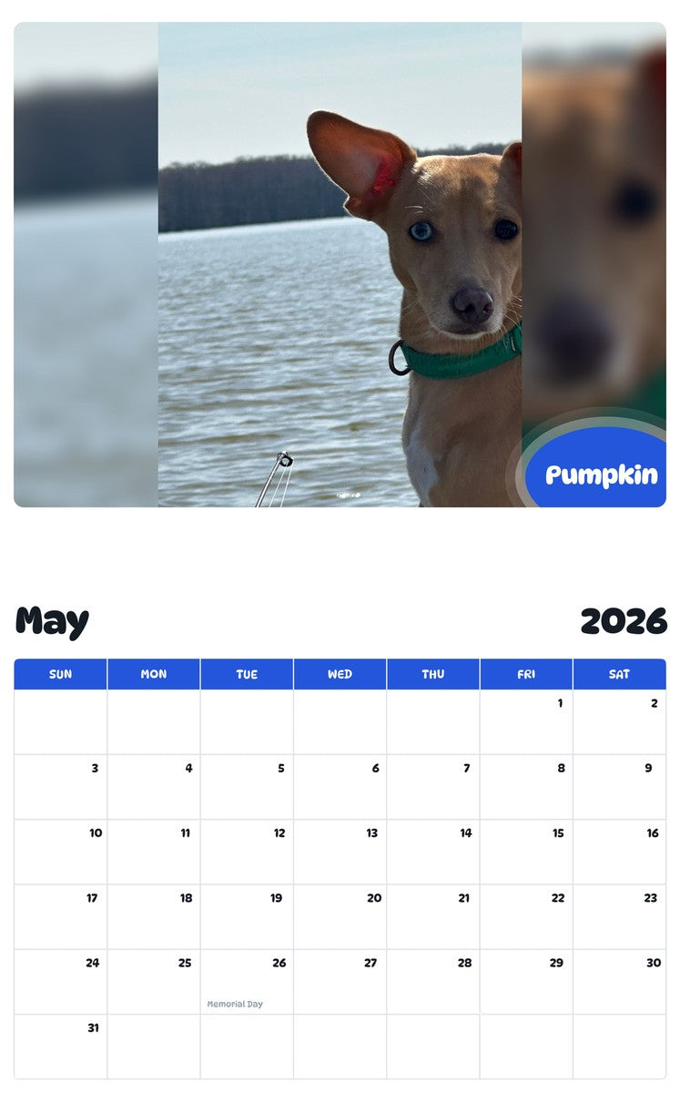 2026 - 2027 Pumpkin - Pawidols Pet Calendar